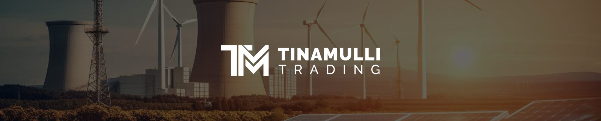 Tinamulli Header Tinamulli Header