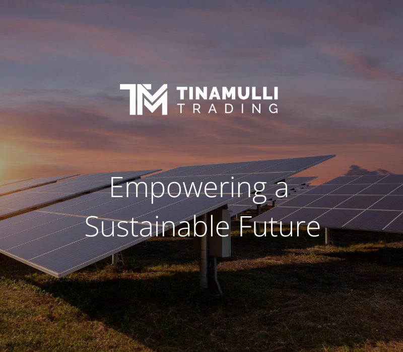 Tinamulli Trading